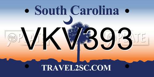 VKV393 South Carolina License Plate