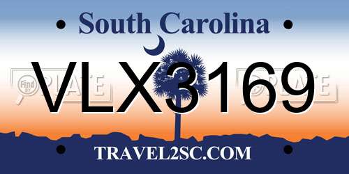 VLX3169 South Carolina License Plate