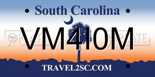 VM4I0M South Carolina License Plate