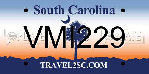 VMI229 South Carolina License Plate