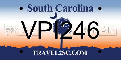 VPI246 South Carolina License Plate