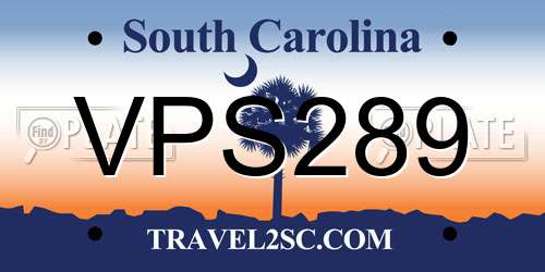 VPS289 South Carolina License Plate