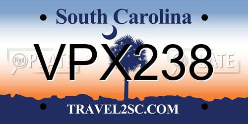 VPX238 South Carolina License Plate