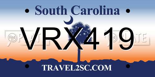 VRX419 South Carolina License Plate
