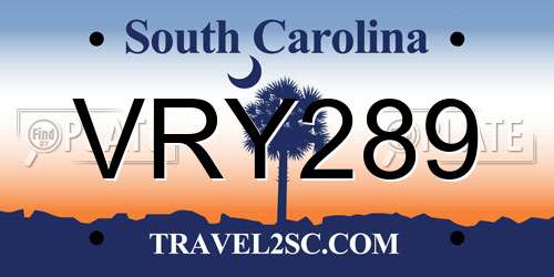 VRY289 South Carolina License Plate