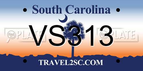VS313 South Carolina License Plate