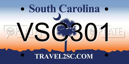 VSC301 South Carolina License Plate