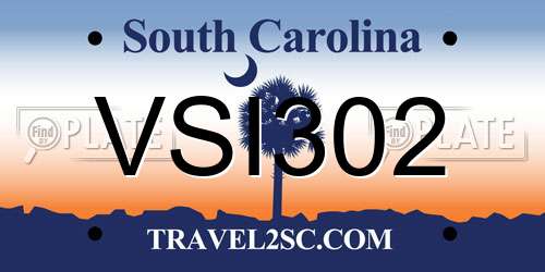 VSI302 South Carolina License Plate