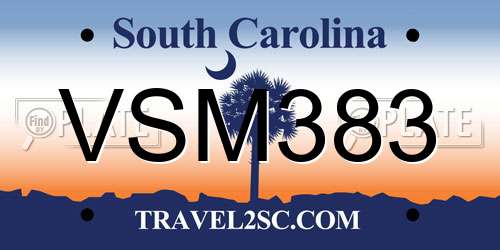 VSM383 South Carolina License Plate