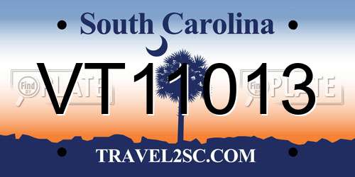 VT11013 South Carolina License Plate