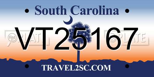 VT25167 South Carolina License Plate