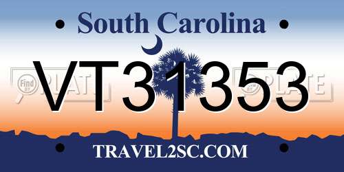 VT31353 South Carolina License Plate