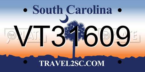 VT31609 South Carolina License Plate