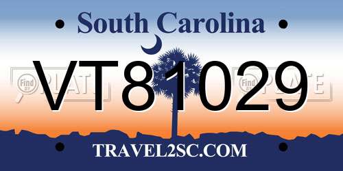 VT81029 South Carolina License Plate