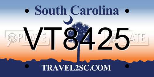 VT8425 South Carolina License Plate