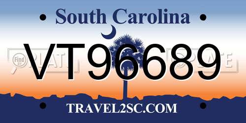 VT96689 South Carolina License Plate