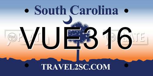 VUE316 South Carolina License Plate
