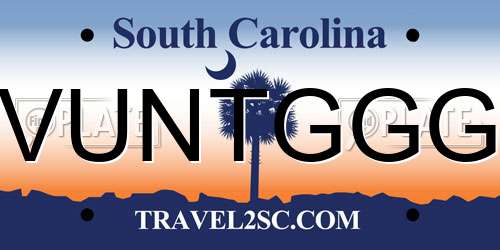 VUNTGGG South Carolina License Plate
