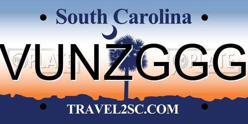 VUNZGGG South Carolina License Plate