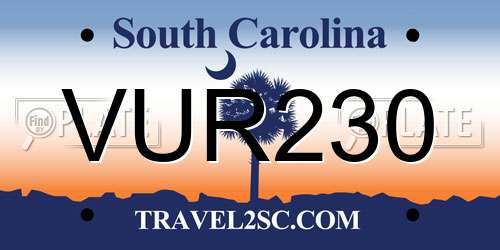 VUR230 South Carolina License Plate