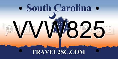 VVW825 South Carolina License Plate