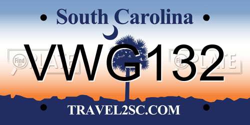 VWG132 South Carolina License Plate