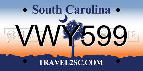 VWY599 South Carolina License Plate