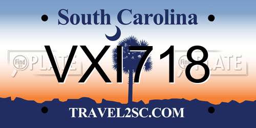 VXI718 South Carolina License Plate