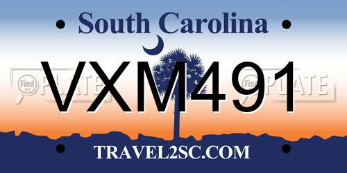 VXM491 South Carolina License Plate