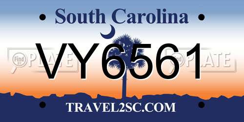 VY6561 South Carolina License Plate