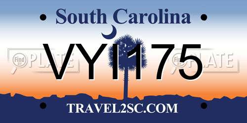 VYI175 South Carolina License Plate