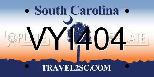VYI404 South Carolina License Plate