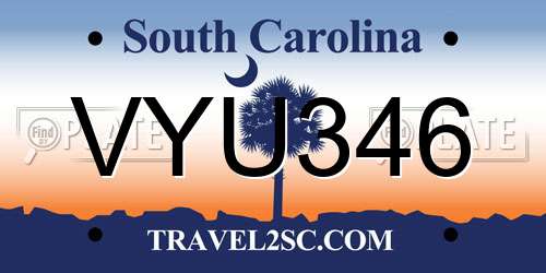 VYU346 South Carolina License Plate