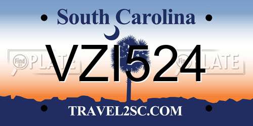 VZI524 South Carolina License Plate