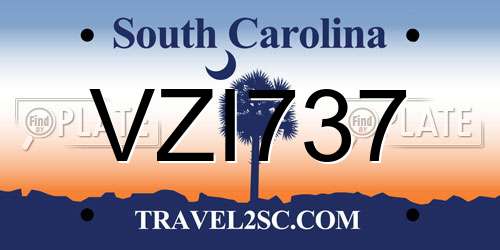 VZI737 South Carolina License Plate