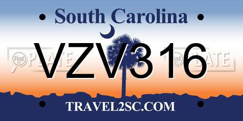 VZV316 South Carolina License Plate