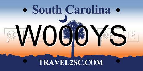 W000YS South Carolina License Plate