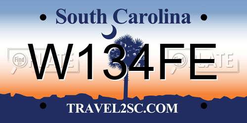 W134FE South Carolina License Plate