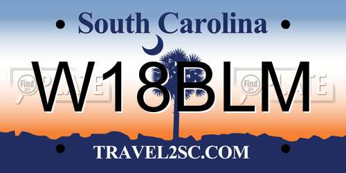 W18BLM South Carolina License Plate