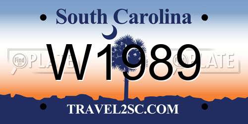 W1989 South Carolina License Plate