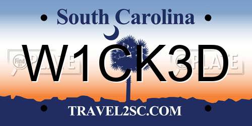 W1CK3D South Carolina License Plate