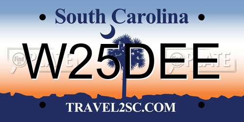 W25DEE South Carolina License Plate