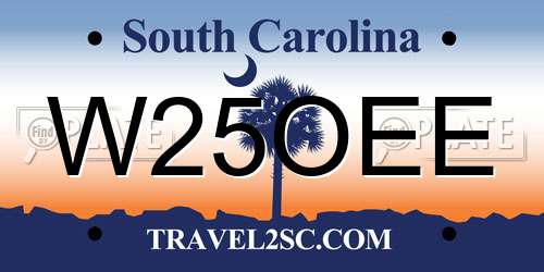 W25OEE South Carolina License Plate