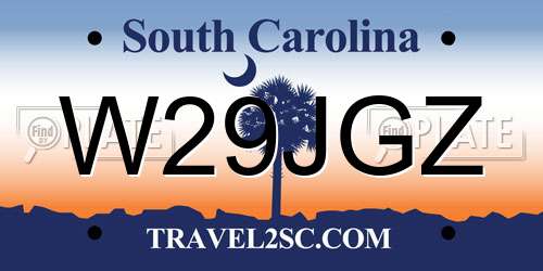 W29JGZ South Carolina License Plate