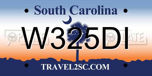 W325DI South Carolina License Plate