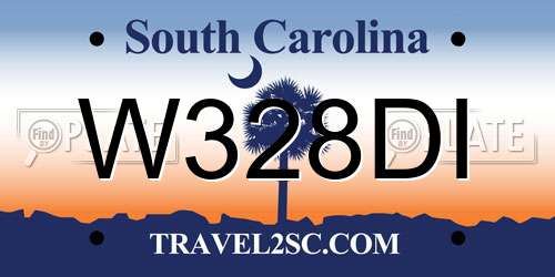 W328DI South Carolina License Plate