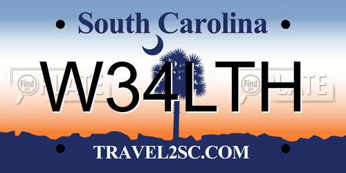 W34LTH South Carolina License Plate