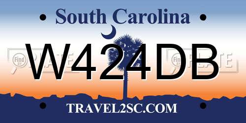 W424DB South Carolina License Plate