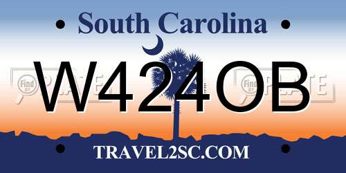 W424OB South Carolina License Plate