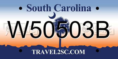 W50503B South Carolina License Plate